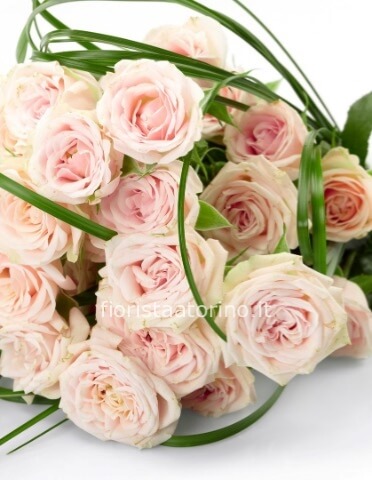 Omaggio da concordare a telefono al nostro numero